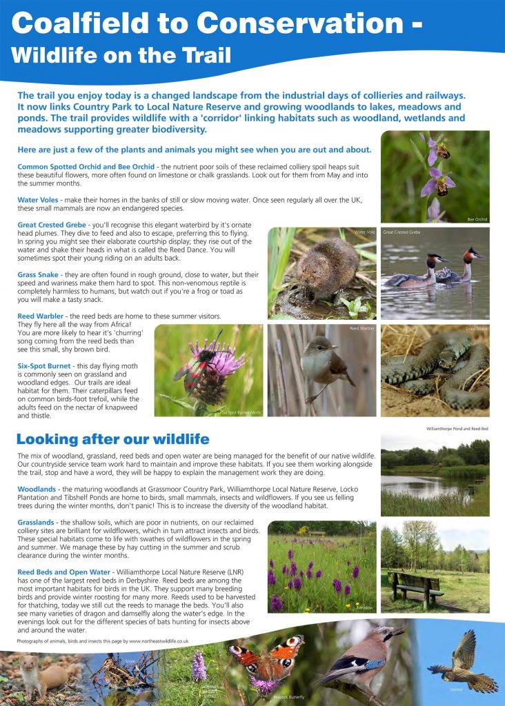 Trail walking at our Derbyshire Holiday home