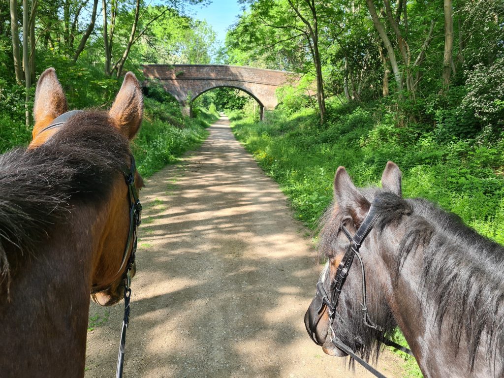  Horse riding in Derbyshire