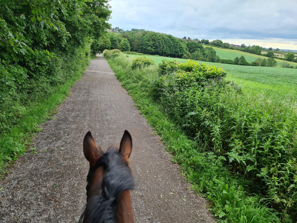 Horse riding holiday on tibshelf trails